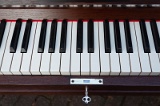 07