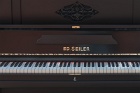 08